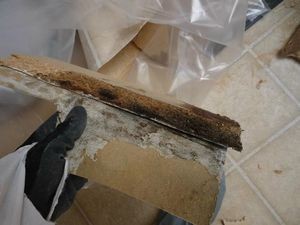 Water Damage Restoration Moldy Debris Removal