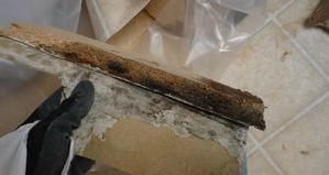 Water Damage Forming Moldy Debris