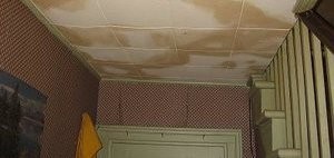 Ceiling Leak Causing Mold Damage